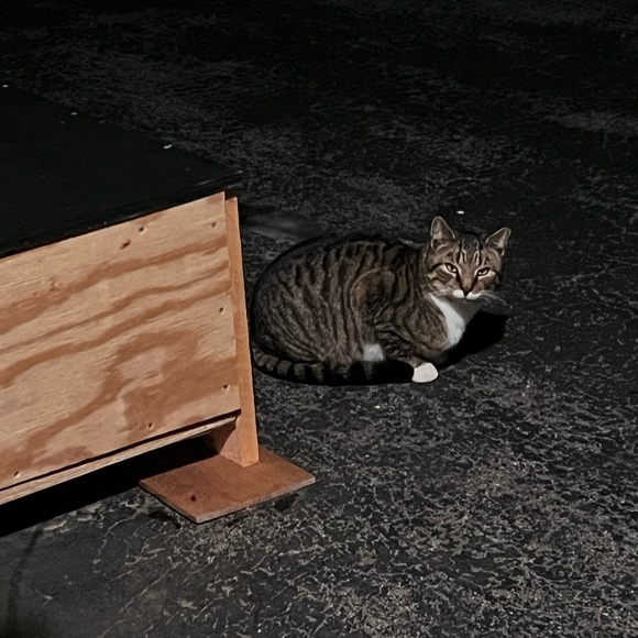 Meet your Posher, Mel - Picture 3 of 7